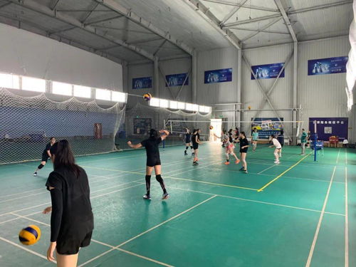 豐臺區(qū)青少年運動隊暑期集訓圓滿收官，項目經(jīng)營助力體育人才儲備